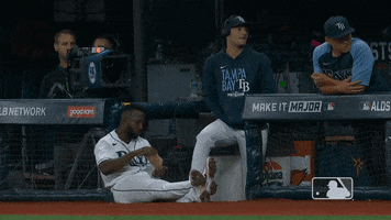 Tampa Bay Rays Popcorn GIF by MLB