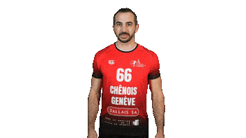 Chenois Sticker by CS Chênois Genève Handball
