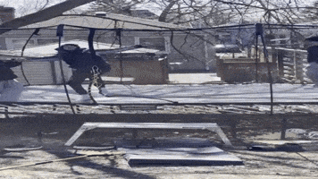 Jackson Flip GIF