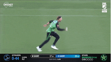 High Five Melbourne Stars GIF by StarsBBL