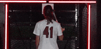 GIF by Lafayette Leopards