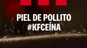 GIF by KFC Ecuador