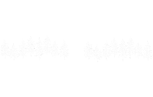 Drone Sustainability Sticker by Flash Forest