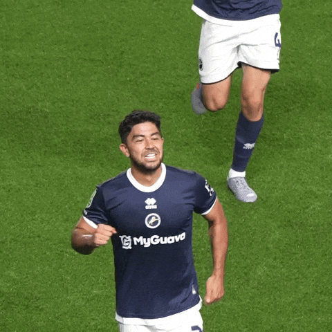 The Den Hug GIF by MillwallFC