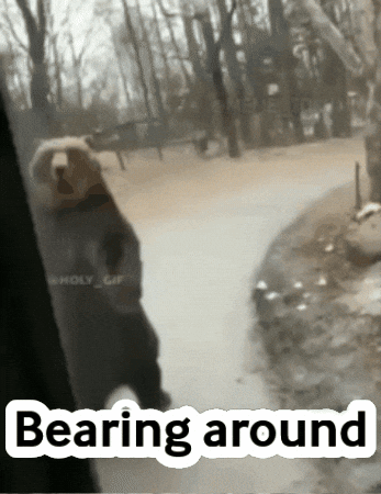 Meme GIF