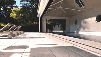 HIRT kinetics GIF