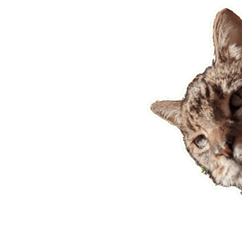 Sticker by Tokyo Cheapo