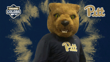 Happy College Sports GIF by College Colors Day