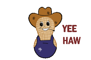 Country Cowboy Sticker by ALL Good Peanut Co