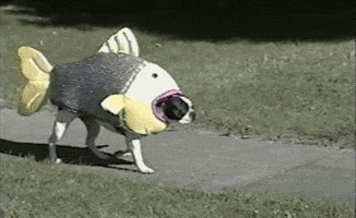 200.gif