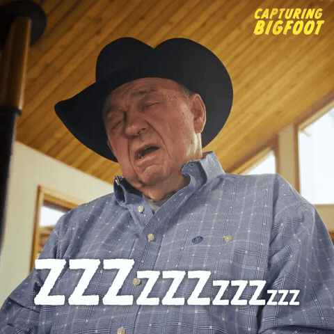 Capturing Bigfoot GIF by XYZ Films