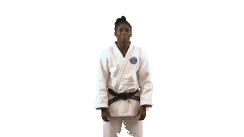 France Yes Sticker by Paris Saint-Germain Judo