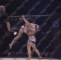 Ufc Mma GIF by Sani Brännfors