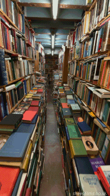 Loop Books GIF by sheepfilms
