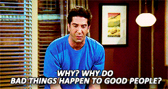 friends GIF