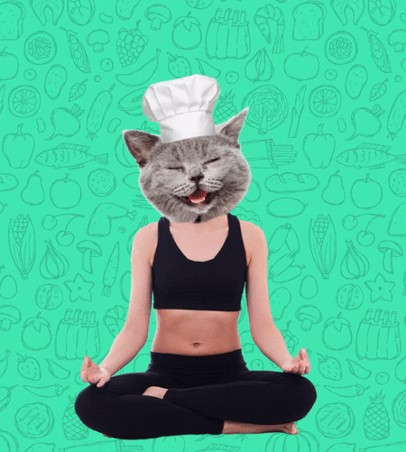 Cat Food GIF by 522 Productions