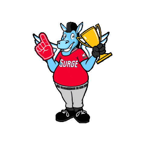 Wichita Wind Surge Sticker