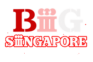 Bigbang Singapore Sticker