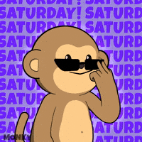 WiseMonkeymeme-reaction-cute-saturday-yP2qNi0kwpggDoSwFe