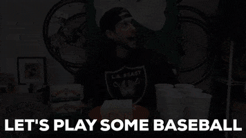 Baseball GIF