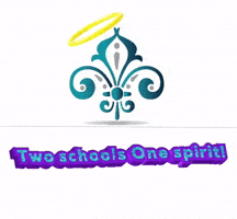 Two Schools One Spirit GIF by Academy of Our Lady of Peace