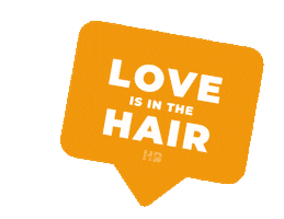 Hb Love Is In The Hair Sticker by haarmode brommert