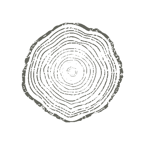 Corner Tree Cafe Sticker