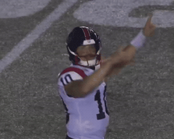 Montreal Celebrate GIF