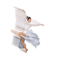 Stage Door Dance Arts Sticker