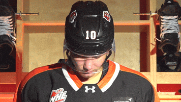Medicine Hat Tigers GIF