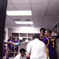 First Place Sport GIF by LSU Tigers