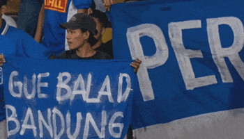 Thom Haye Viking GIF