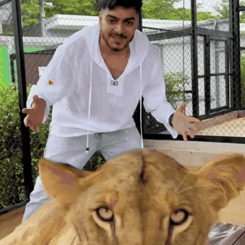 Bigg Boss Trending GIF