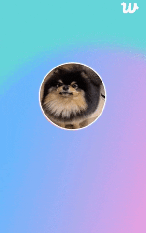 Animated GIF - Find & Share on GIPHY