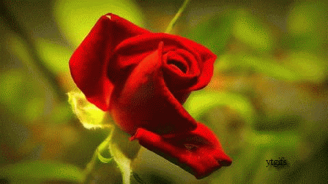 Related image