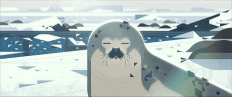 seal chilling GIF