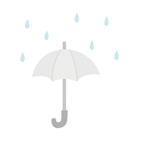 Rain Sticker