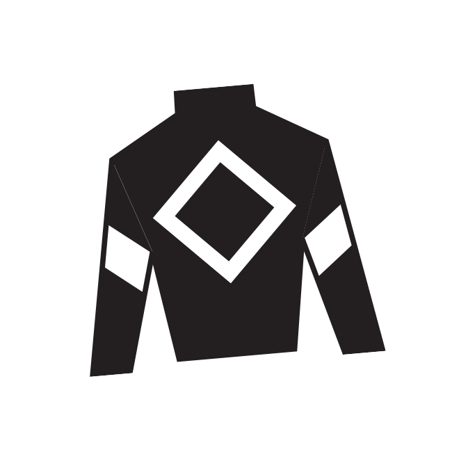 Horse Racing Sticker by Kentucky Derby