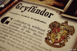 A qué casa de Hogwarts perteneces  Yo soy Ravenclaw