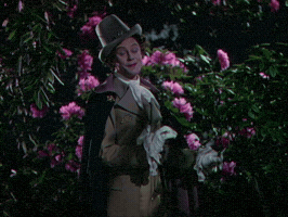 Cinema GIF