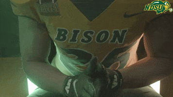 North Dakota State Hands GIF by NDSU Athletics