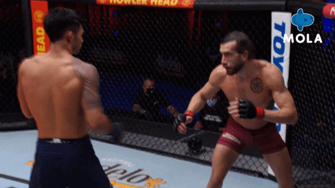Angry Ultimate Fighting Championship GIF by MolaTV - Find & Share on GIPHY