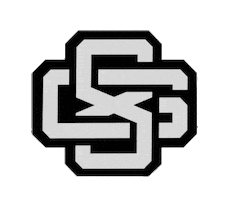 GR818ERS Sticker