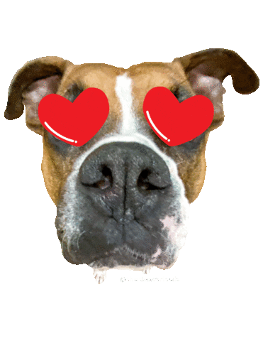 Pet Dog Love Sticker by fittabulouslife