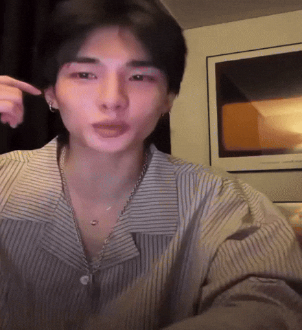 Stray Kids Skz GIF