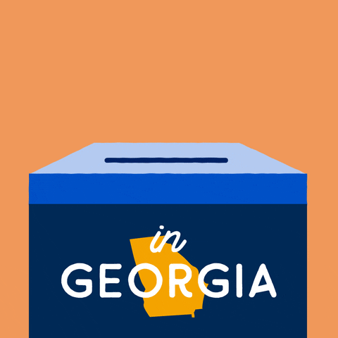 Voting Ballot Box GIF by #GoVote