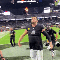 Las Vegas Raiders Reaction GIF by NFL