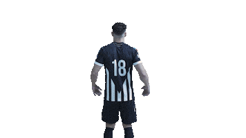 Sport Sticker by SCO Handball