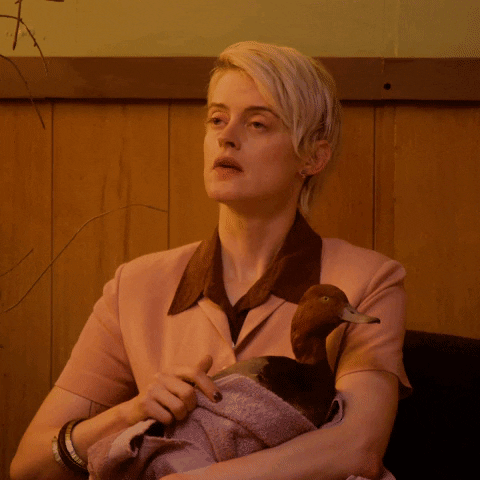 The Rainbow Bridge GIF