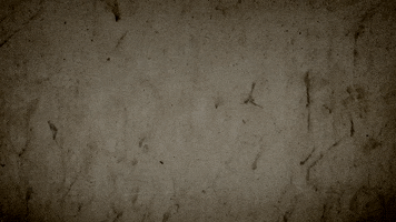 Logo Marketing GIF by Ridetime